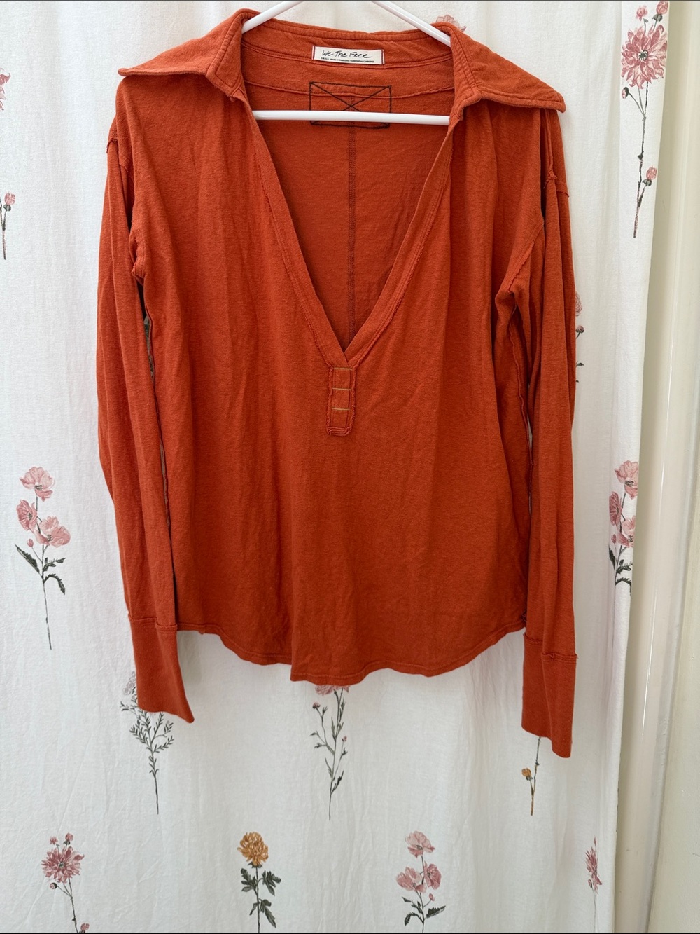 Free People Deep V-Neck Long Sleeve Top in Rust